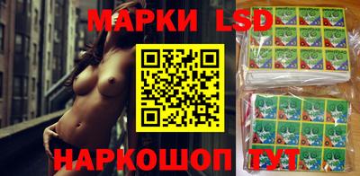 индика Гусь-Хрустальный