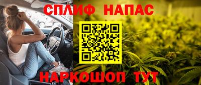 индика Гусь-Хрустальный
