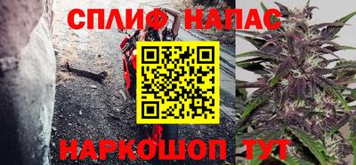 шишки Гусиноозёрск